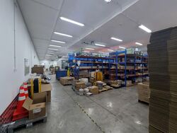Tsl 101 (D14), Factory #589651671